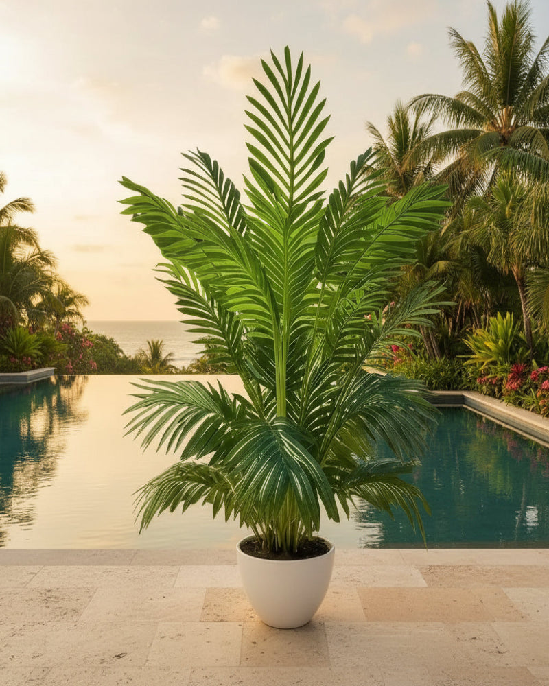 Verdant Palm Tree