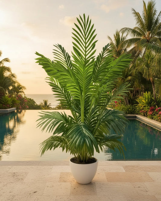 Verdant Palm Tree