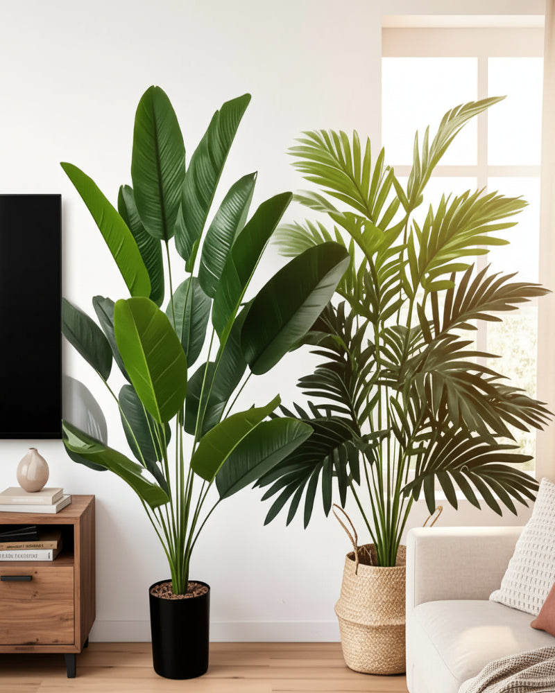 Tropical Palm Duo